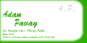 adam pavay business card